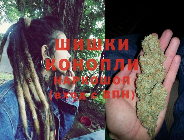 гидра Верея