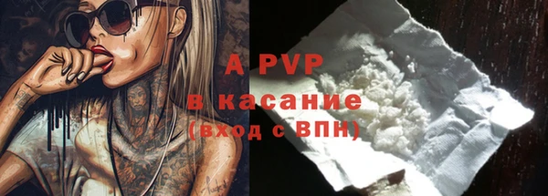 гидра Верея