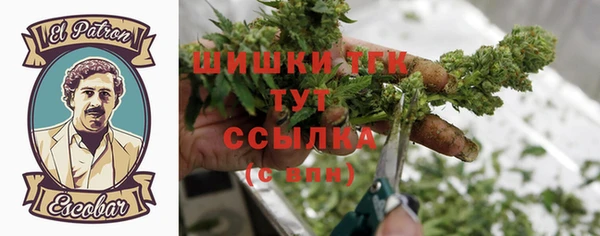гидра Верея